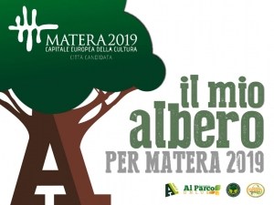 Il mio albero per Matera2019